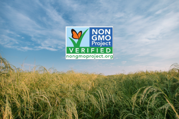 Maskal Teff Receives Non-GMO Project Verification