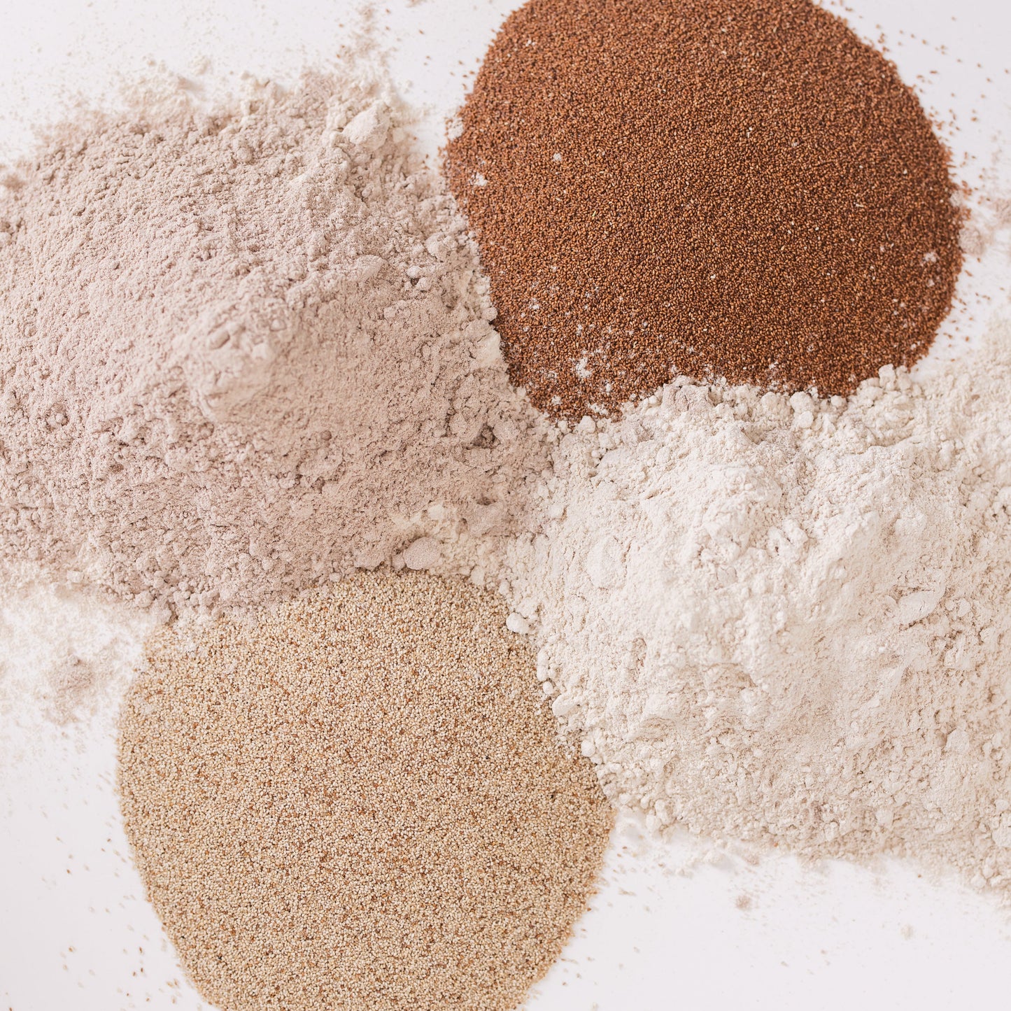 Teff flour and teff grain piled on a white background.